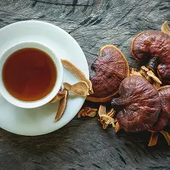 imagen_extracto_de_reishi