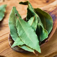 imagen_hoja_de_laurel
